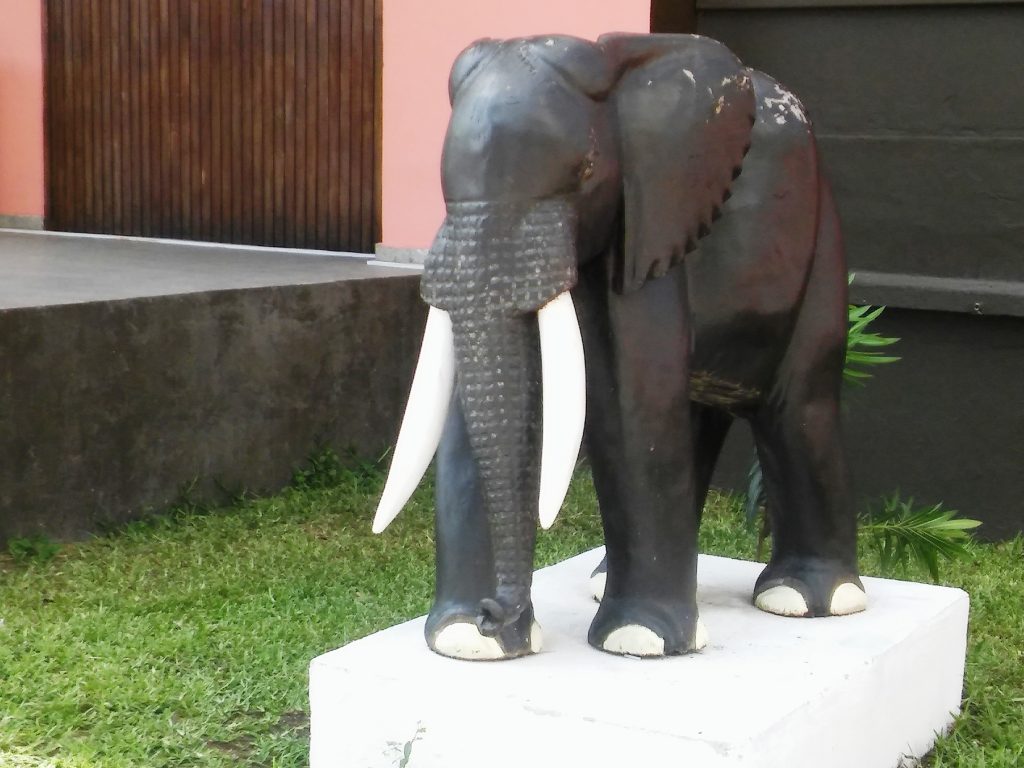 L’éléphant, animal mythique de la Côte d'Ivoire.